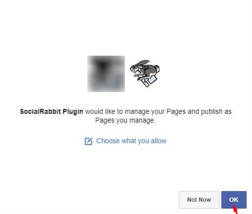 Can T Find My Facebook Page While Authorization Or Error Validating Access Token Error For Wordpress Social Rabbit Plugin