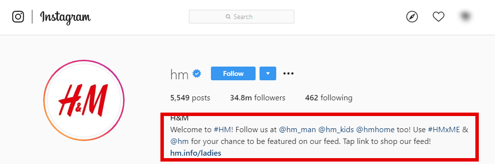 Instagram Bio - text