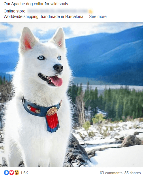 Look at this cutie dog! Hardly any person can resist liking this ad!