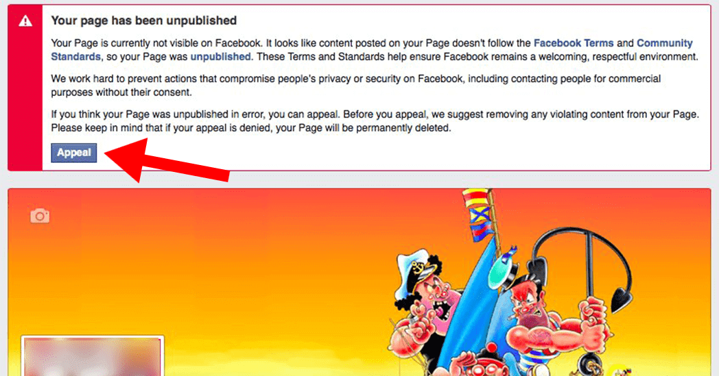 You can appeal this solution to get your business page back.