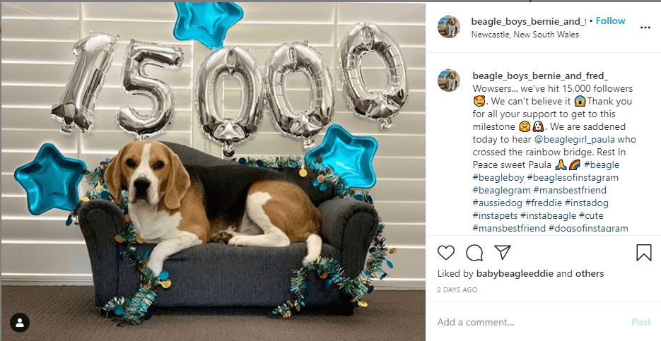 Hooray! You are on the right way! Your account is growing. Think of celebrating this great event with giveaway to build evven stronger relationships with your Instagram followers.