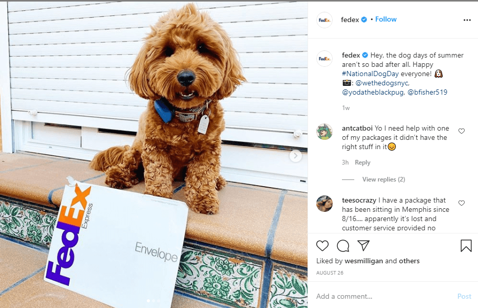 Make your posts cute to gain more likes and comments.