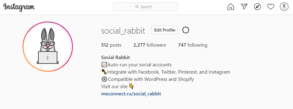The first thing what people see when visiting your account is bio. To promote your business on Instagram effectively, you should create an appealing and informative bio.