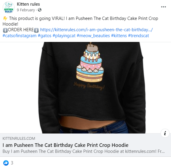 This is how a post for your first PPE campaign might look.