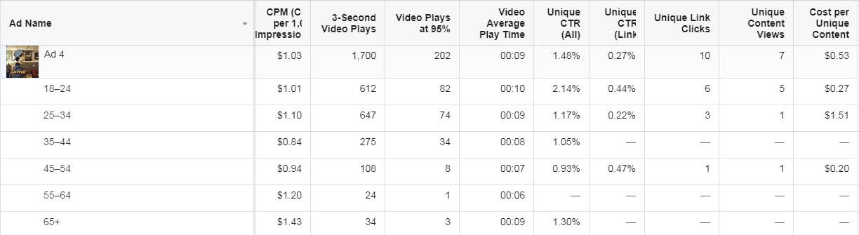 Look at the results of your PPE campaigns. Which one is the most effective? Probably, these audience is right for you!